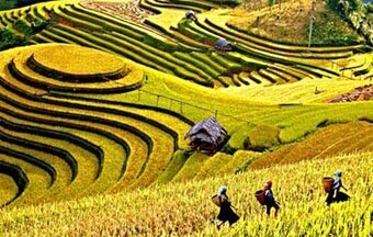 Giảm tác động biến đổi khí hậu: Những nỗ lực của Việt Nam