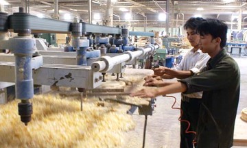 Vĩnh Long: Nâng cao chất lượng đào tạo nghề