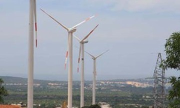 Nhà đầu tư điện gió: Mức 13,5 cent/kWh mới có lãi