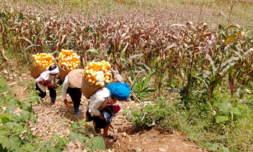 Giảm nghèo bền vững - Vẫn là một thách thức lớn