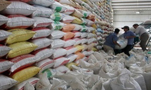 Philippines “soán ngôi” Trung Quốc về nhập gạo Việt Nam