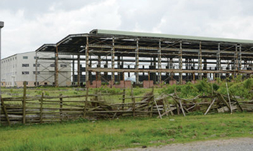 Bàn giao nguyên trạng KCN Lai Vu về Hải Dương