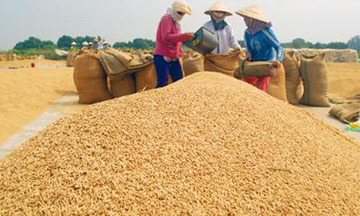 Quy định mức chi hoạt động khuyến công quốc gia