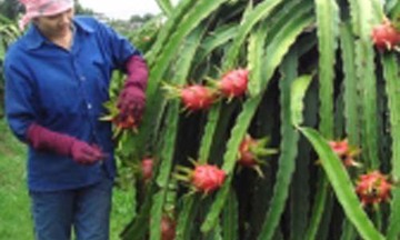 Đưa khoa học đẩy mạnh phát triển kinh tế vùng Đông Nam Bộ