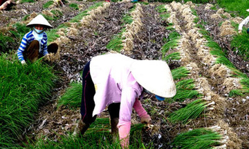 Đề xuất nâng mức vay ưu đãi cho hộ nghèo