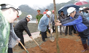 Lễ phát động trồng rừng bảo vệ môi trường thủy điện