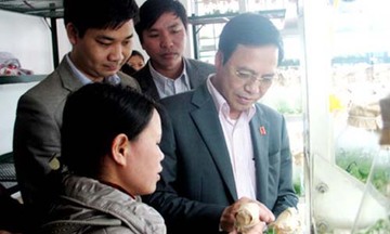 Phát triển khoa học công nghệ: Nền tảng then chốt cho tăng trưởng kinh tế