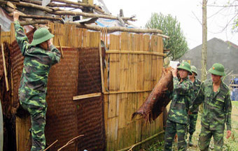 Mưa đá - hậu quả của biến đổi khí hậu