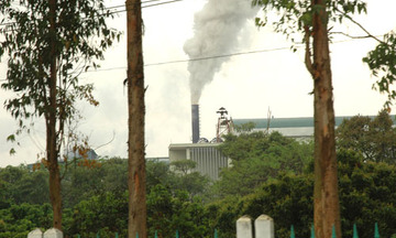 Tăng khả năng thích ưng vơi biến đổi khí hậu