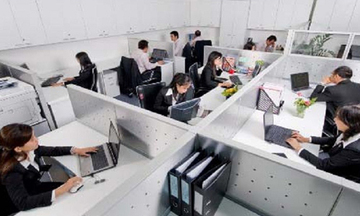 Nghị định về vị trí việc làm và cơ cấu ngạch công chức