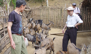Hòa Bình: Xây dựng thương hiệu cho ngành chăn nuôi