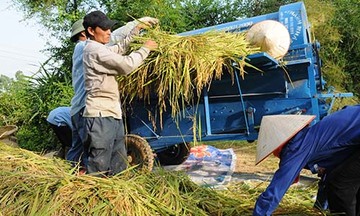 Hướng cho XK nông sản: Đẩy giá và tăng lượng