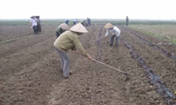 Sản xuất thành công chế phẩm sinh học bảo vệ môi trường