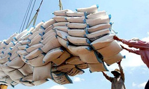 Việt Nam trúng thầu bán 800.000 tấn gạo cho Philippines