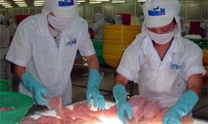 Philippines sẽ giảm nhập khẩu cá tra Việt Nam