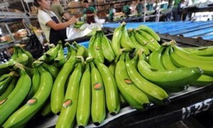 Tàu chở hoa quả Philippines ứ đọng tại Trung Quốc