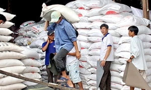 Philippines sẽ nhập 187.000 tấn gạo của Việt Nam