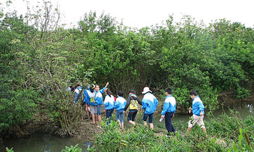 Tiền Giang đầu tư 1.600 tỷ đồng cho du lịch sinh thái