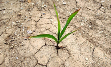 Hoa Kỳ hỗ trợ ứng phó với biến đổi khí hậu