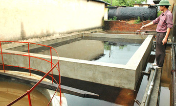 Ngành giấy phát triển xanh