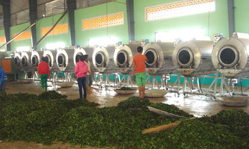 Lâm Đồng: Đẩy mạnh đào tạo nghề