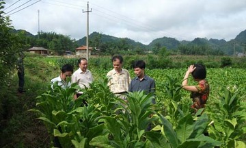 Bắc Kạn: Tập trung đào tạo nghề theo nhu cầu