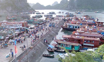 Rà soát các quy định về kinh doanh vận tải thủy nội địa