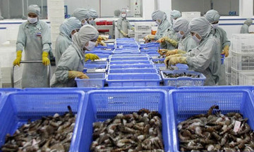 Nỗ lực đáp ứng tiêu chuẩn XK vào thị trường EU