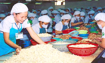 Gia tăng hàm lượng công  nghệ cho ngành điều