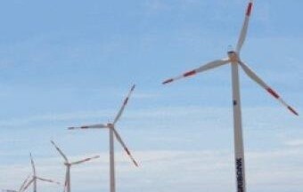 Đầu tư các dự án điện gió: Chưa thành “làn sóng”