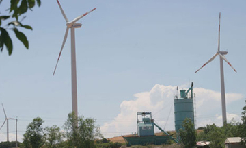 Điện gió, cuộc chơi mới bắt đầu!