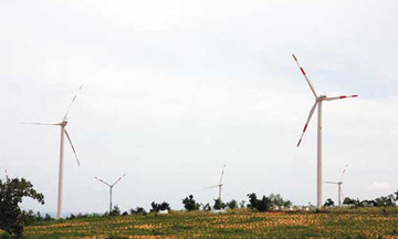 Điện gió VN: Ba cái khó và bài học từ quốc gia đi trước