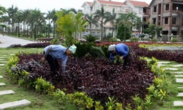 Đóng góp ý kiến cho dự thảo Luật Bảo vệ môi trường