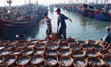 Kinh tế biển và mục tiêu góp một nửa GDP vào 2020