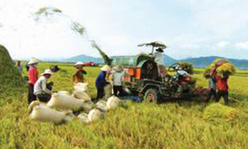 Vốn cho nông nghiệp tăng trưởng gấp đôi cả nền kinh tế