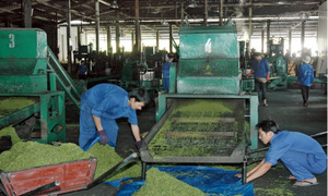 Lai Châu: Nhiều thế mạnh vẫn "đói" điện