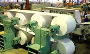 Đầu tư ngành giấy: Không thể đủng đỉnh