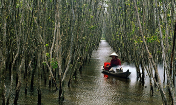 Hoa Kỳ tài trợ ứng phó biến đổi khí hậu khu vực đồng bằng sông Hồng