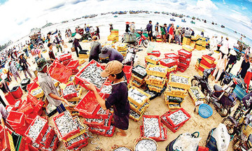 Kinh tế biển: Chủ động khai thác lợi thế