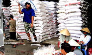 Xuất khẩu gạo sang Philippines không đạt kế hoạch