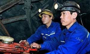Tập đoàn Than khoáng sản: Vẫn duy trì tăng trưởng