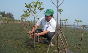 WWF và Microsoft hỗ trợ Thừa Thiên - Huế thích ứng với biến đổi khí hậu