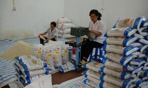 Xây dựng thương hiệu gạo: Đâu cần “đao to búa lớn”!