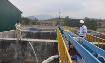 Tăng cường quản lý, bảo vệ môi trường