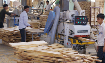 Đào tạo nghề ở Bình Phước: Góp phần chuyển dịch cơ cấu lao động