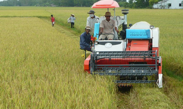 Hỗ trợ lãi suất đến 100% nhằm giảm tổn thất trong nông nghiệp