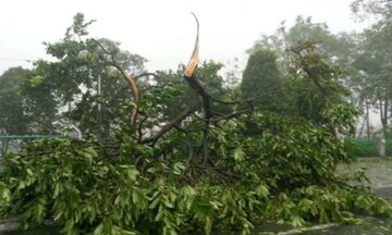 Bão Thần Sấm quét sát thành phố Móng Cái - Quảng Ninh