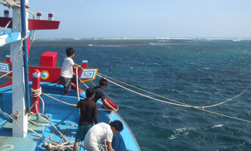 Phú Yên:  Khẩn trương triển khai chính sách hỗ trợ ngư dân vươn khơi, bám biển