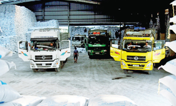 Tập đoàn hóa chất:  Đẩy mạnh đổi mới doanh nghiệp