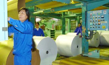 Ngành giấy: Đối diện thách thức